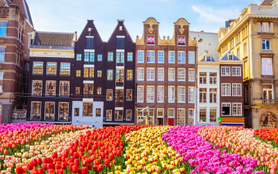 Standardy mieszkań dla migrantów zarobkowych w Niderlandach