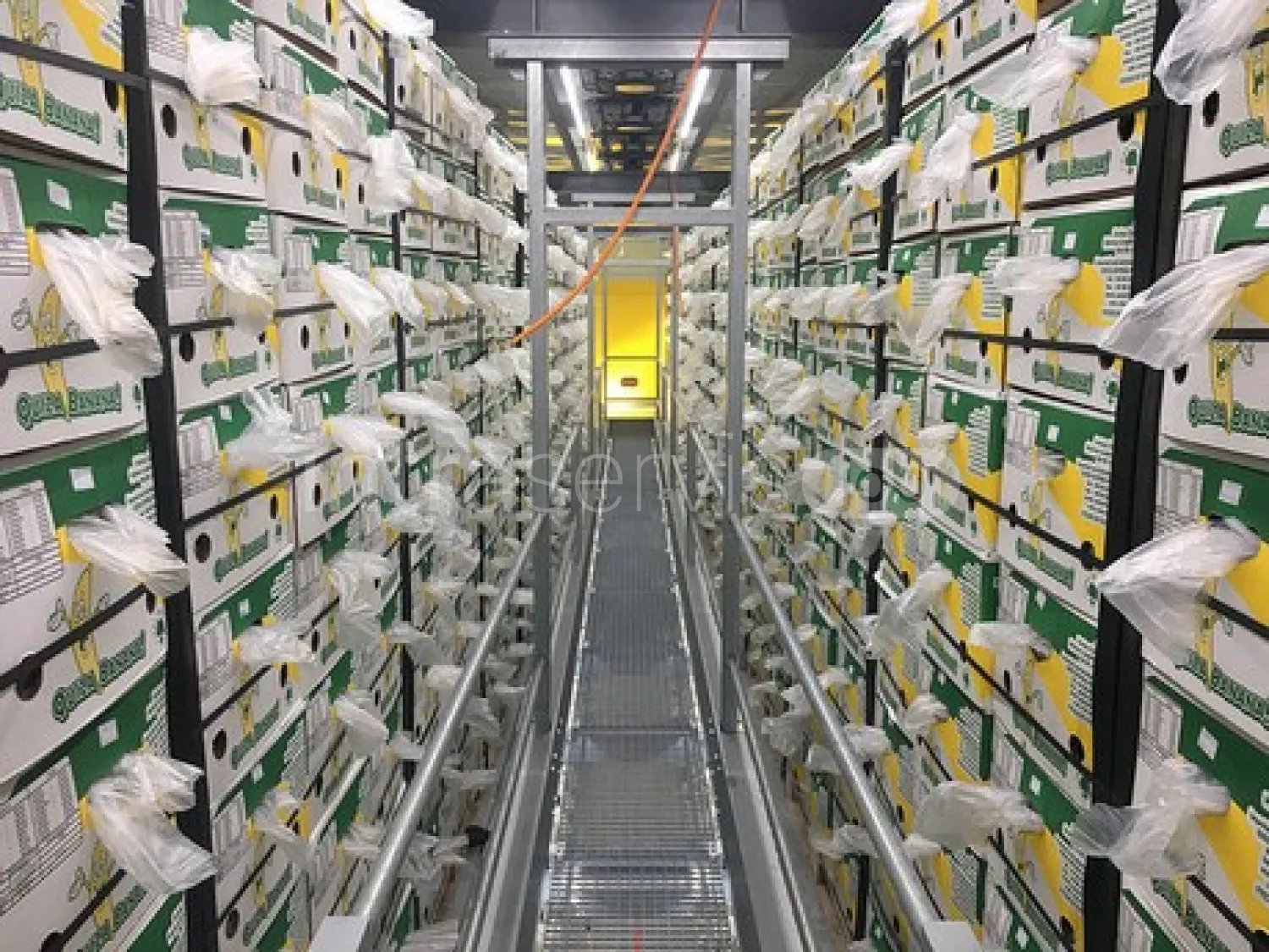 Job offer: Forklift operator