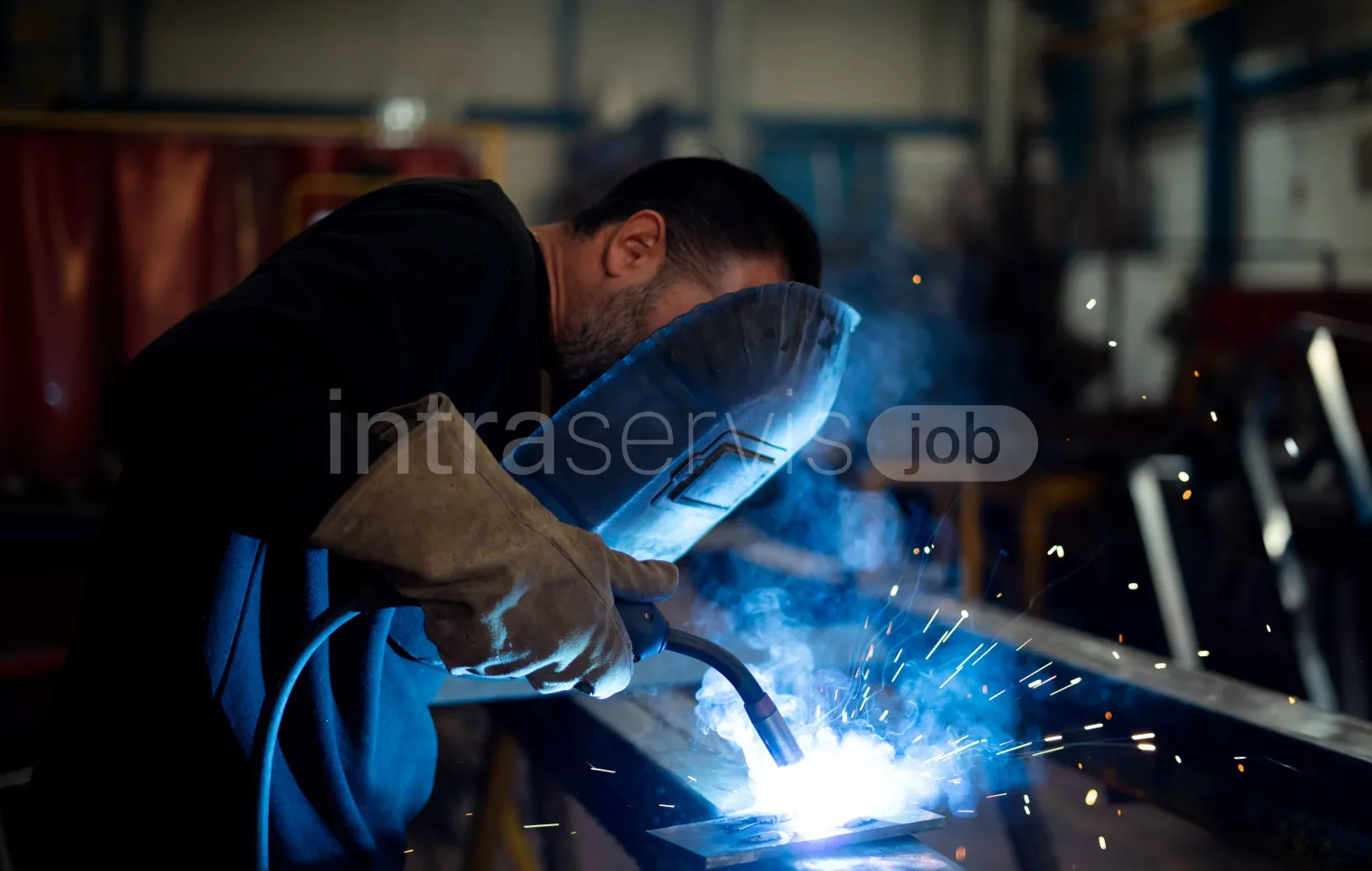 Job offer: Specialist Jobs