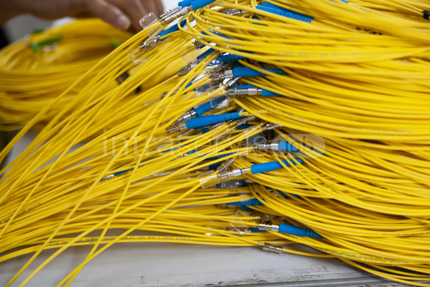 Job offer: Manual worker for fibre optic line construction