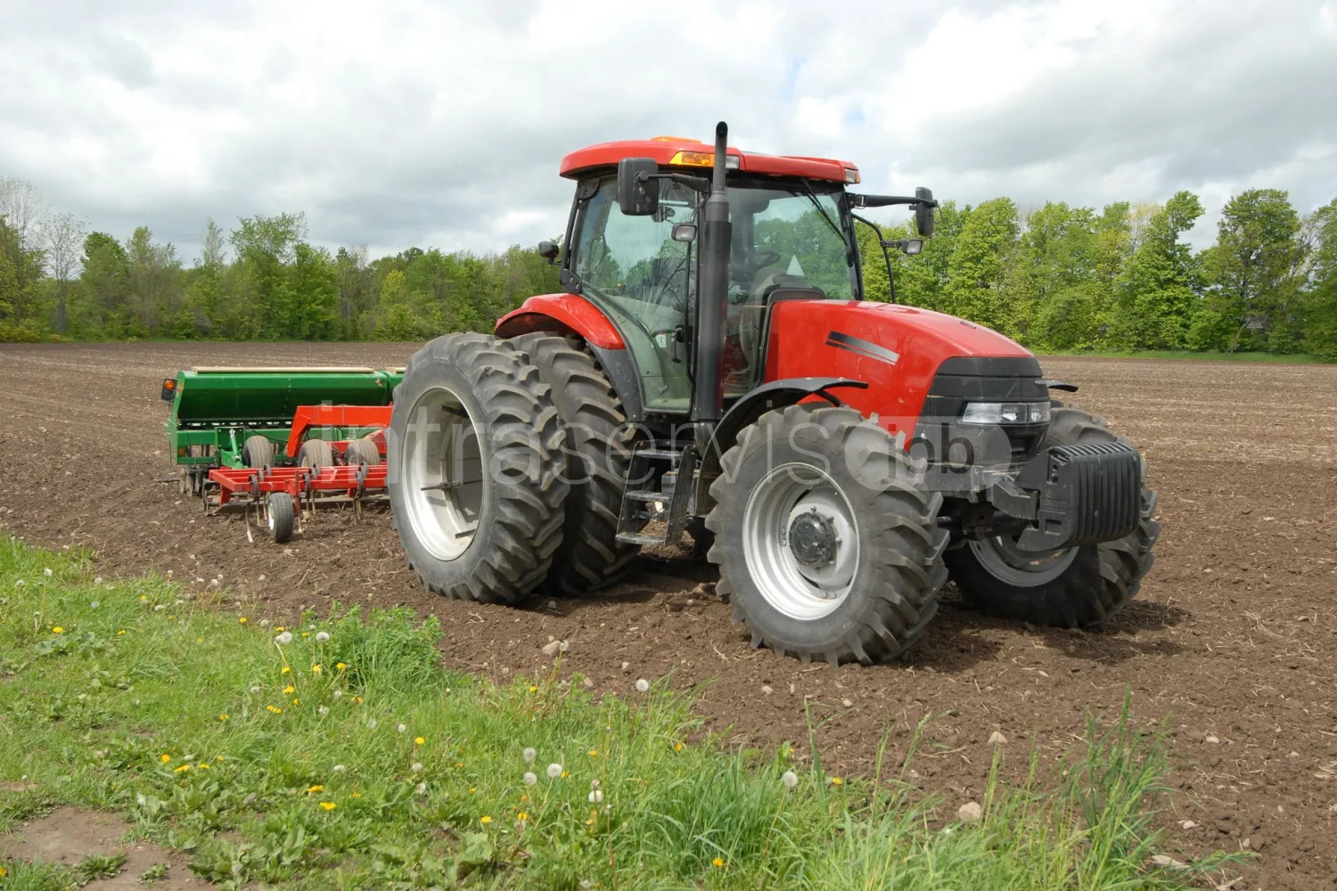 Job offer: Tractor driver – plant nursery