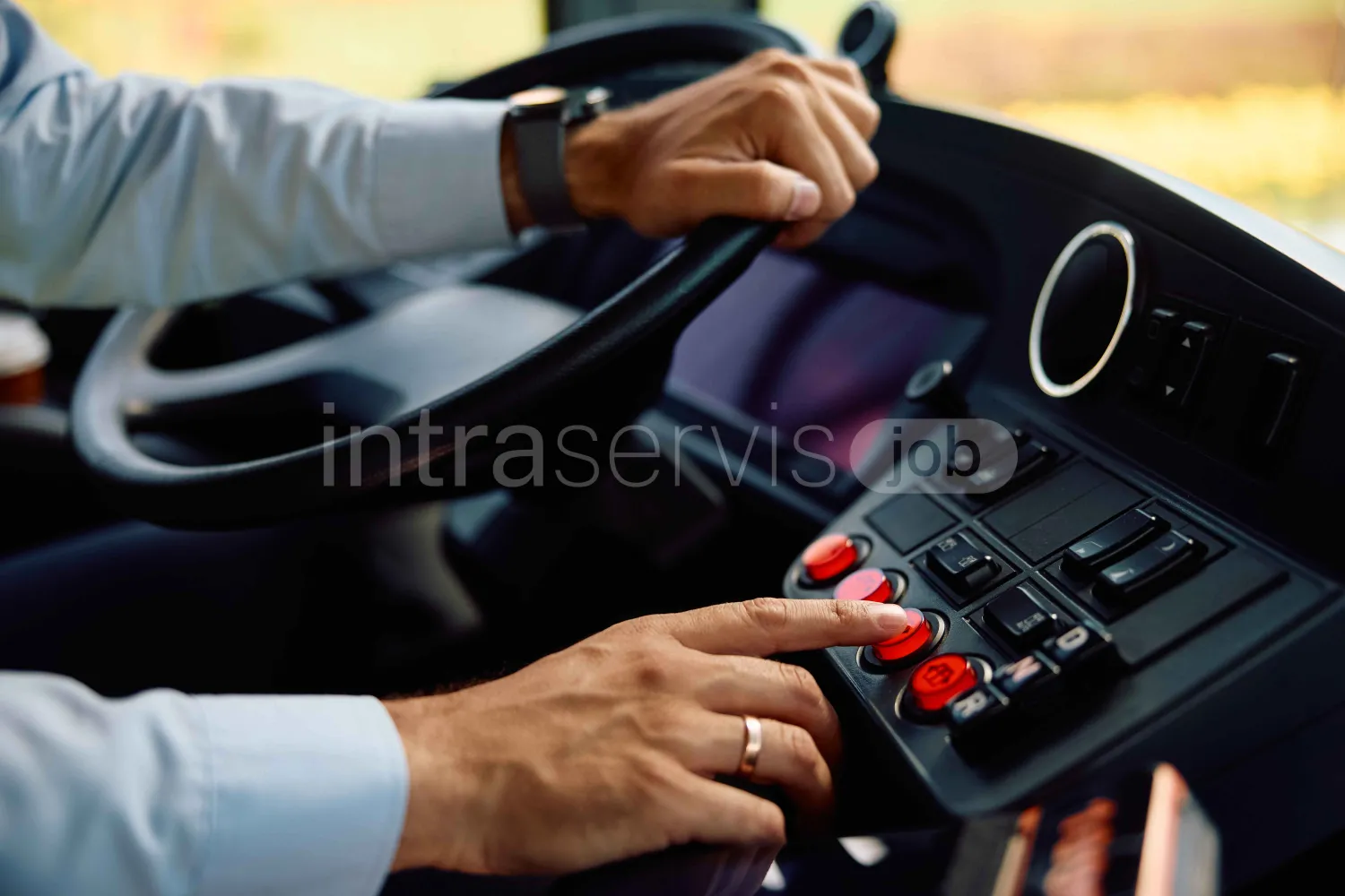 Job offer: Bus driver