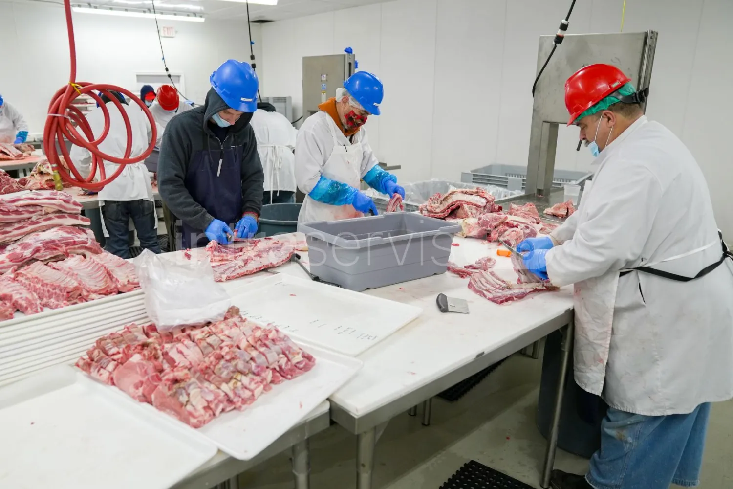 Job offer: Meat processing worker – pork cutting department