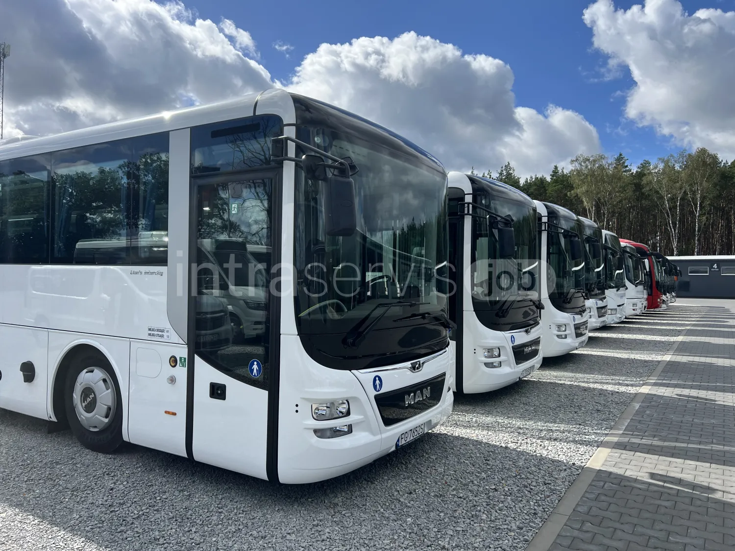 Job offer: Bus driver – employee transport