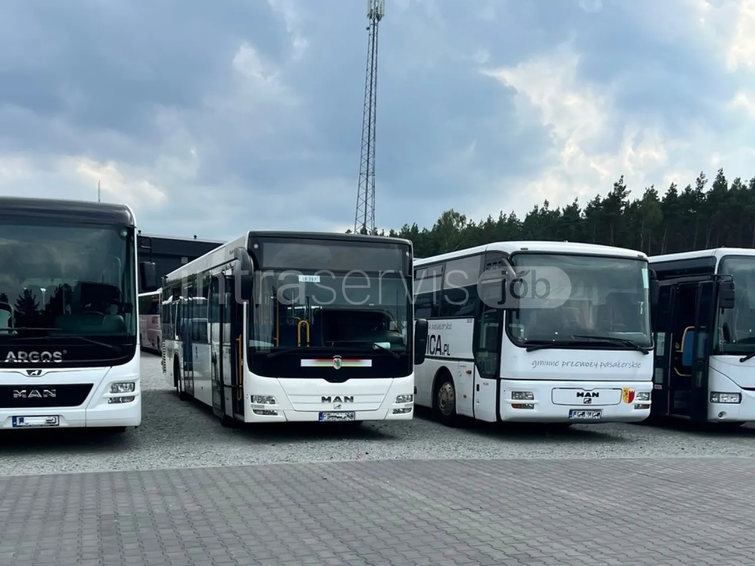 Job offer: Bus driver – employee transport