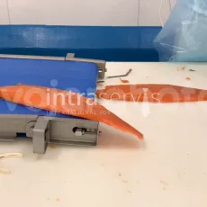 12954