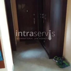 11755