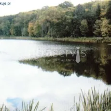 8367