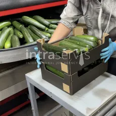 13947