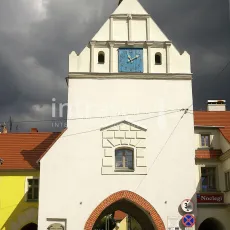 8604