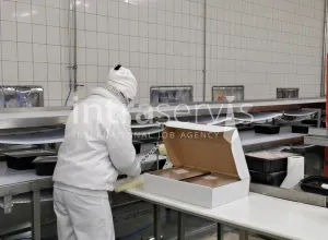 Pracownik produkcji