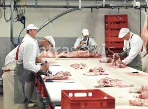 Pracownik produkcji do rozbierania mięsa