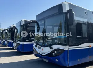 Kierowca autobusu komunikacji miejskej kat D z j.polskim