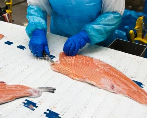 Pracownik produkcji - pakowacz