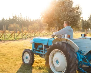 Kierowca traktora w szkółce roślin