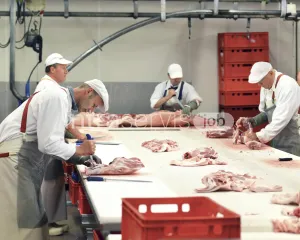 Pracownik produkcji do rozbierania mięsa