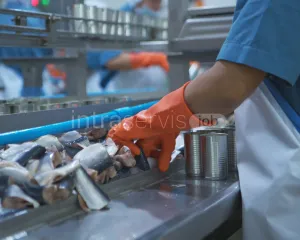 Pracownik przetwórstwa rybnego