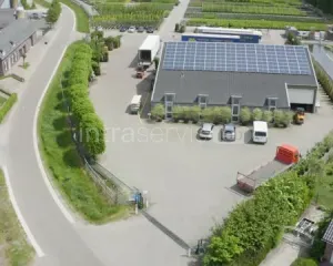 Pracownik szkółki z drzewami ozdobnymi