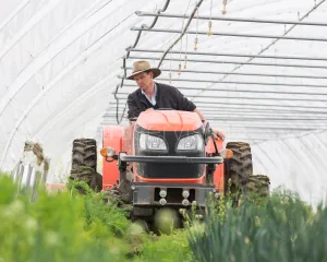 Kierowca traktora w szkółce roślin