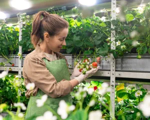 Pracownik szkółki roślin