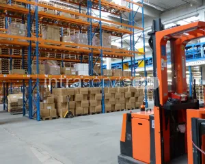 Operator wózka widłowego 