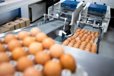 Job offer: Pracownik produkcji - Waalwijk, Holandia