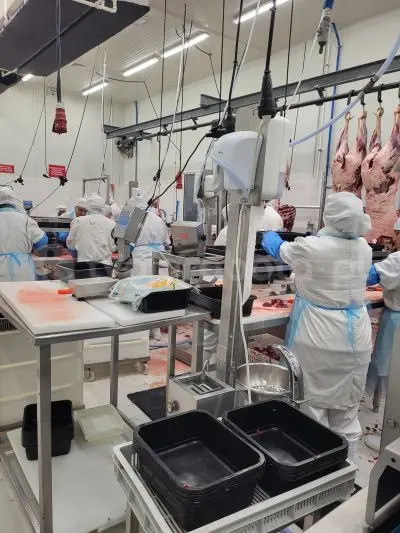 Workplace photo - Rzeźnik / wykrawacz – praca przy rozbiorze i wykrawaniu mięsa