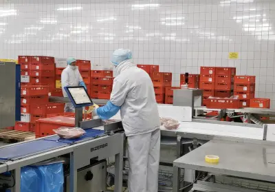 Job offer: Pracownik produkcji – pakowanie i obróbka drobiu na produkcji - Golczewo, Polska
