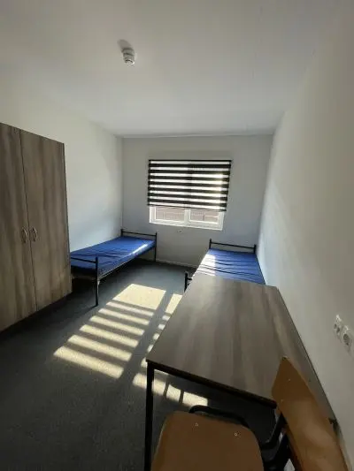 Accommodation photo 14 of 33 - Pracownik produkcji sadzonek