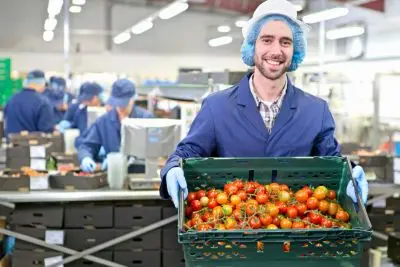 Job offer: Pracownik produkcji i magazynu z owocami/warzywami - Venlo