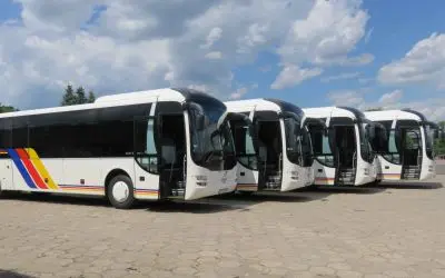 Job offer: Kierowca autobusu – przewozy szkolne i pracownicze - Gryfice
