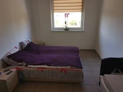 Accommodation photo 10 of 22 - Pakowacz odzieży na magazynie