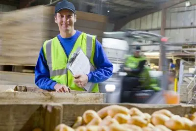 Job offer: Pracownik produkcji i magazynu z owocami/warzywami - Venlo